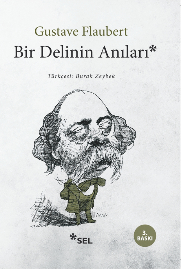 Bir Delinin Anıları