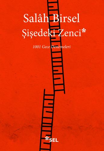 Şişedeki Zenci (1001 Gece Denemeleri)