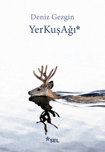 YerKuşAğı