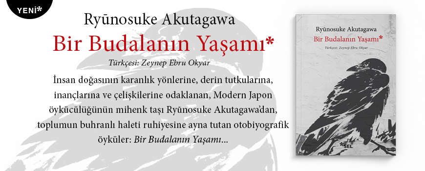 Bir Budalann Yaam