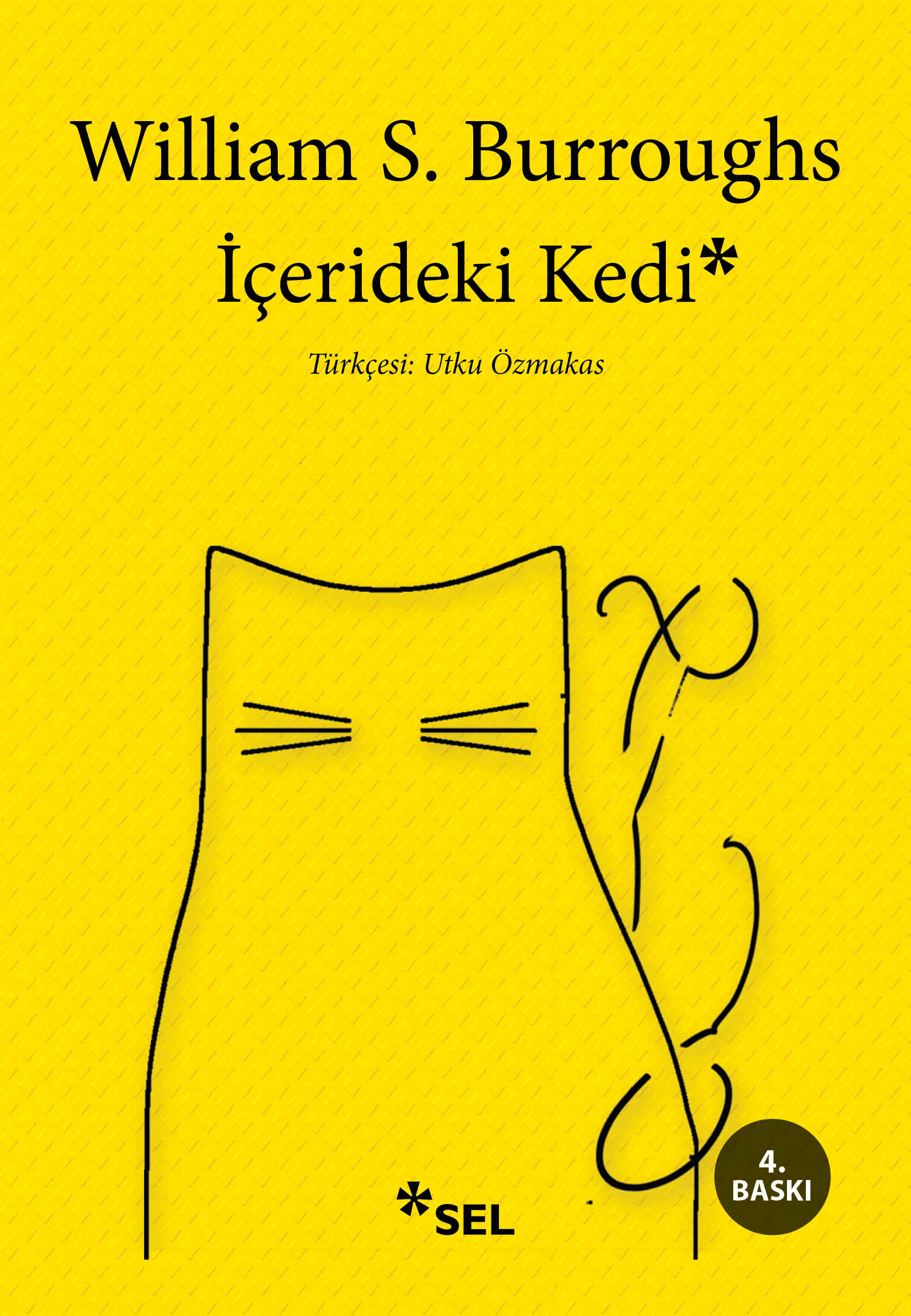 ��erdeki Kedi