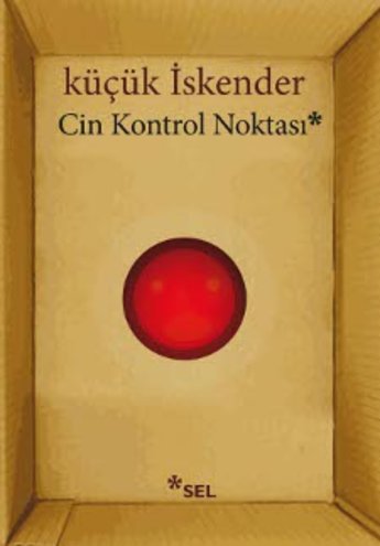 Cin Kontrol Noktas