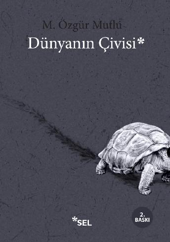 Dnyann ivisi