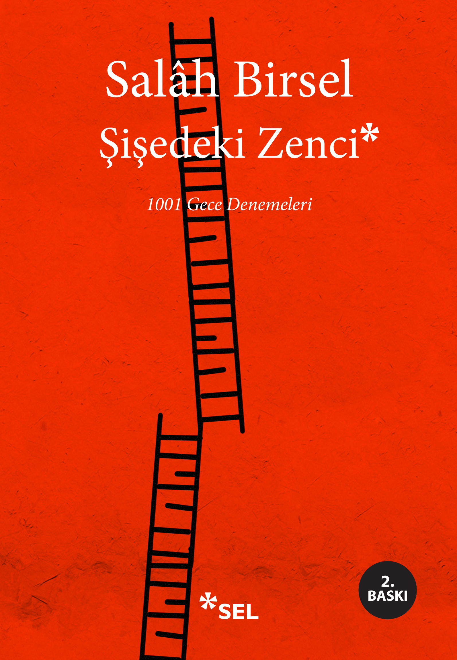 iedeki Zenci - 1001 Gece Denemeleri