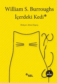 erdeki Kedi